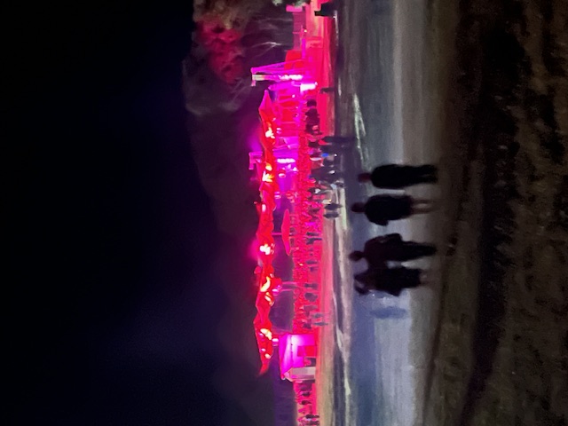 A walk down the paddock